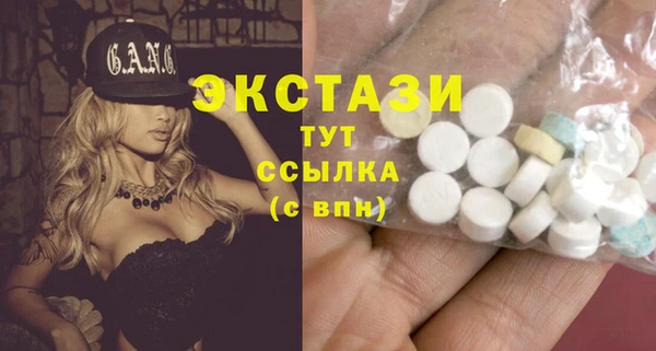 стаф Вязьма