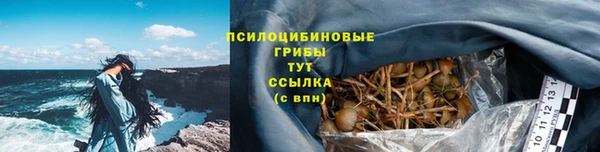 мдпв Володарск