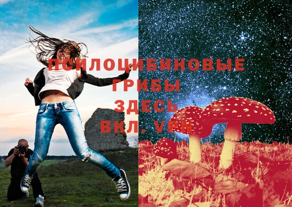 скорость Вяземский