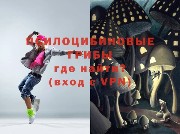 мдпв Володарск