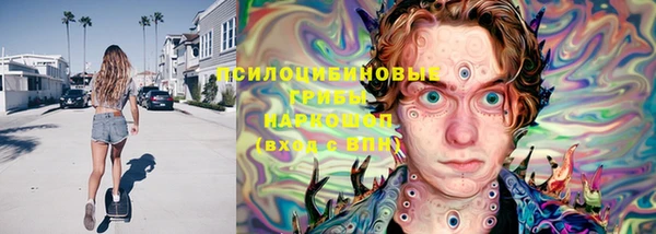 мдпв Володарск