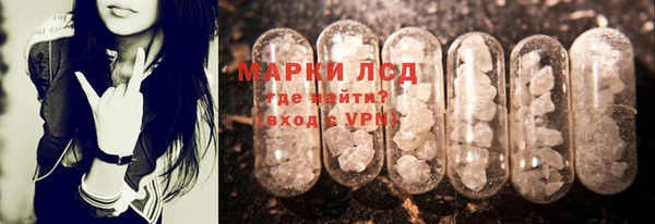 стаф Вязьма